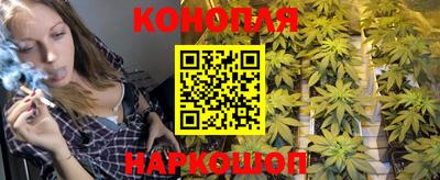 сатива Ачхой-Мартан
