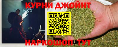 сатива Ачхой-Мартан