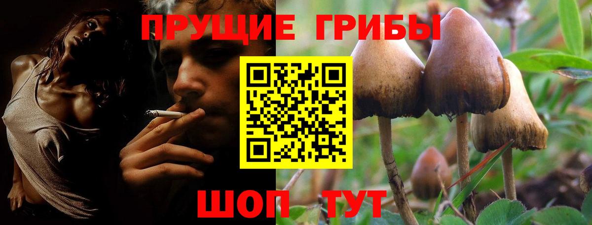 купить закладку  Псилоцибиновые грибы Psilocybine cubensis  Вход с VPN  Галлюциногенные грибы Psilocybe  Белорецк 